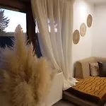 Oasis *