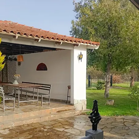 Dom wakacyjny Oasis *