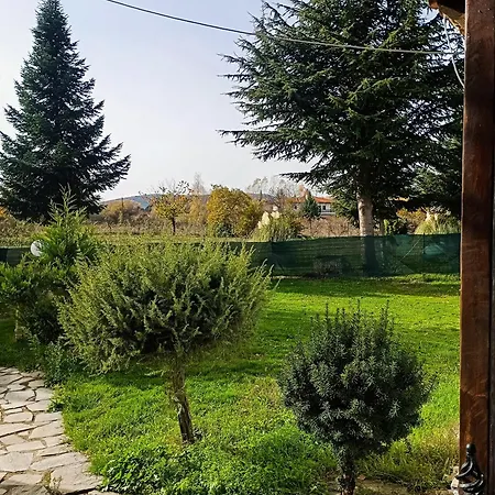 Oasis