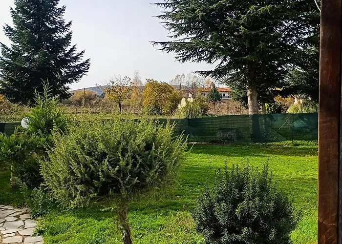 Oasis