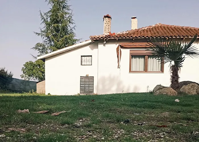 Oasis Krepeni